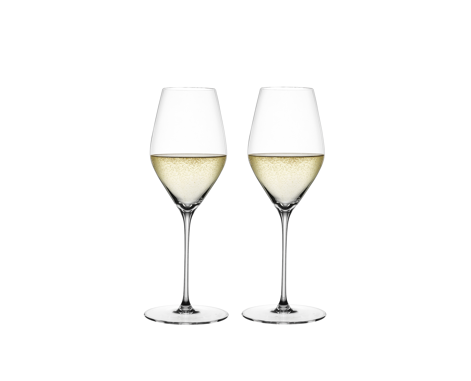 SPIEGELAU Hi-Lite Champagne Glass