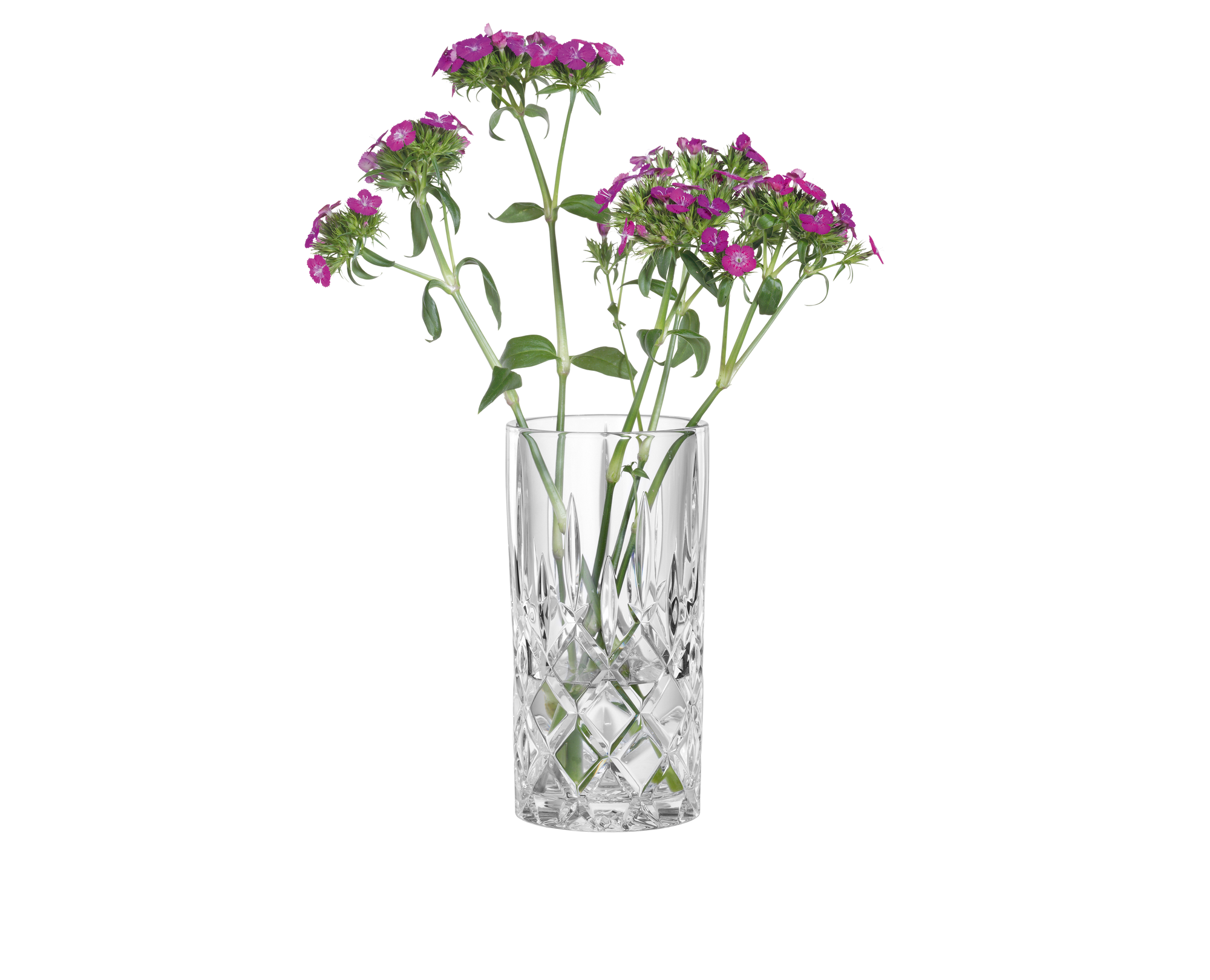 NACHTMANN Noblesse Vase / Windlicht - 23cm | 9.094in